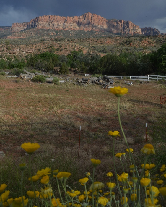 mountain views outside the park